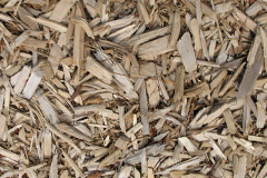 biomass boilers Llanvetherine